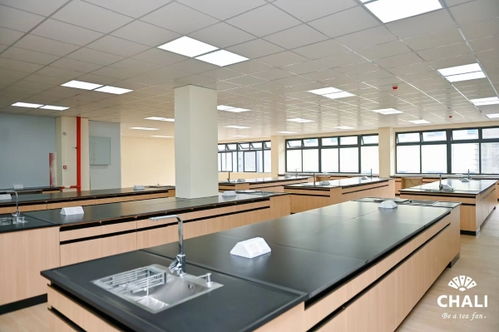 茶里集團南沙總部落成 引領中國高端袋泡茶標準化、工業化與科技化發展