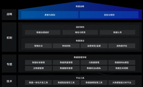 洞見(jiàn)未來(lái)，駕馭數(shù)據(jù) 國(guó)內(nèi)優(yōu)秀數(shù)據(jù)治理服務(wù)商及軟件開(kāi)發(fā)指南